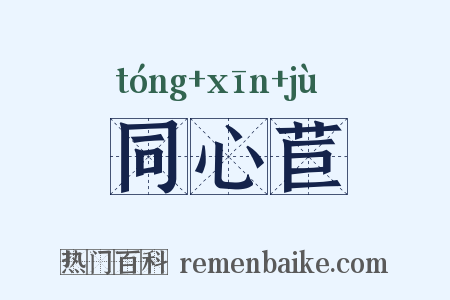 同心苣是什么意思的图片